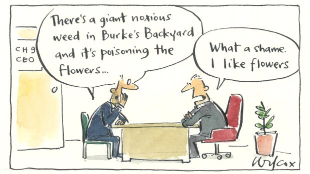 Illustration: Cathy Wilcox