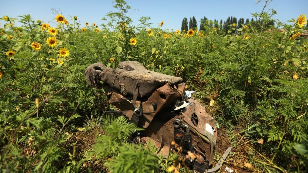 One of the seats from Flight MH17 on the outskirts of Rassypnoe village in Ukraine. 