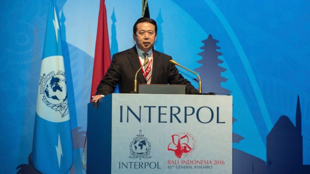 China's Vice Minister of Public Security Meng Hongwei speaks at Interpol's general assembly in Bali on Thursday.