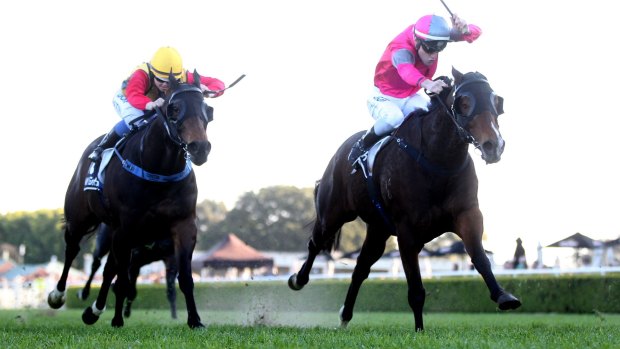 Flying missile:  Rory Hutchings boots home Burbero in the Missile Stakes at Randwick.