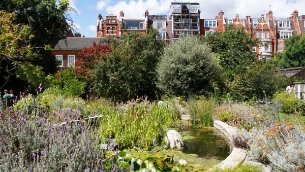 Hidden highlight: Chelsea Physic Garden.