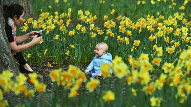 Katharine Squires with her 9-month-old son William enjoy the last day of winter in the Fitzroy Gardens. 