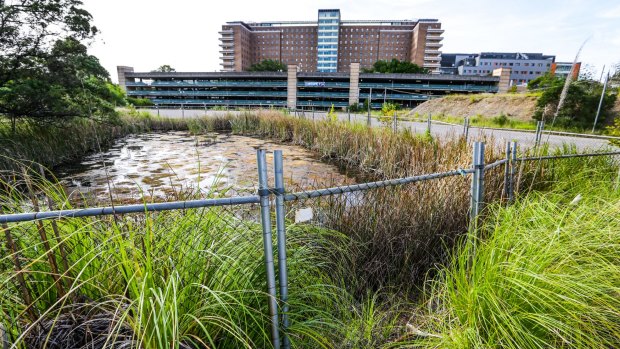 The private hospital site at Camperdown bounded by Carillion Avenue and New Hospital Road.