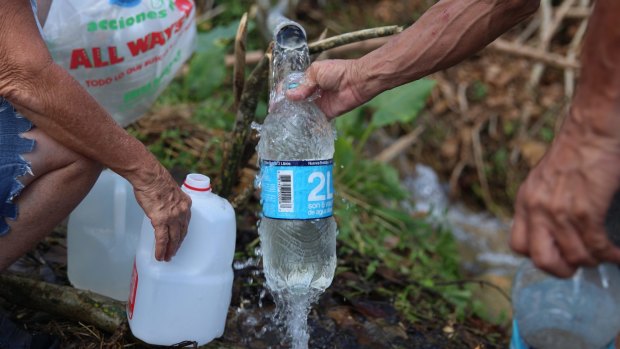 Shortages: Residents draw water from a creek in Corozal, Puerto Rico.