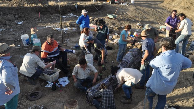 A team of staff from the Australian Age of Dinosaurs Museum and volunteers has been working to recover the dinosaur remains.