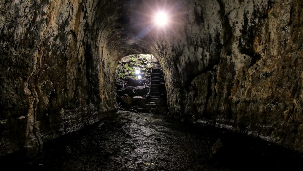 A lava tube in the highlands of Santa Cruz, Galapagos National Park.