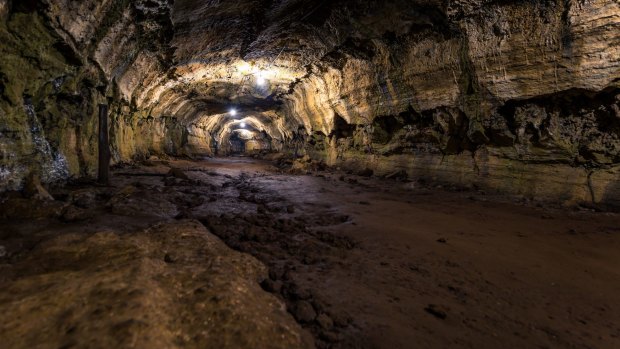 Santa Cruz, the second largest island in Galapagos, is home to some of the best extinct lava tunnels.