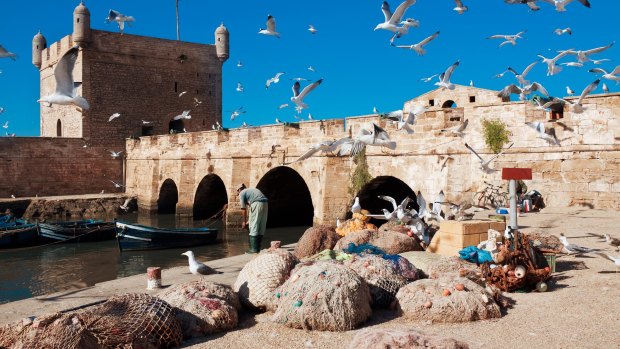 Seagulls and traditional fishing boats and equipment make Essaouira a perfect movie location.