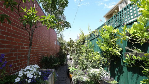 A laneway garden in North Carlton, cultivated by local residents for a decade, was ripped out in March by Yarra Council after complaints.