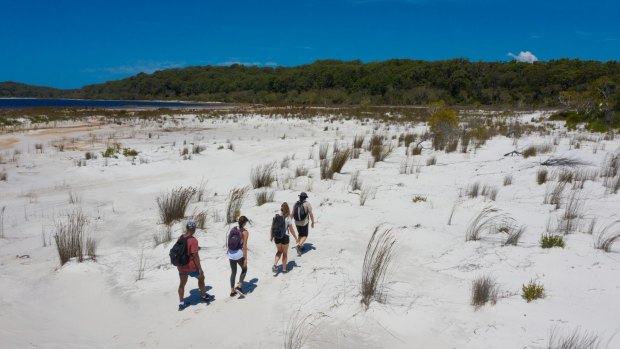 On an eco walk with Fraser Island Hiking.