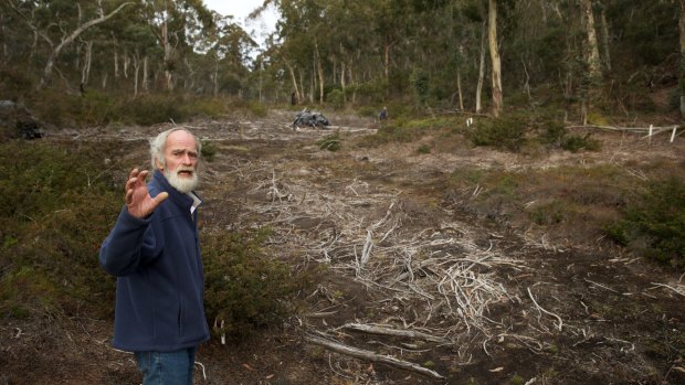 Chris Jonkers of the Lithgow Environment Group says the East Wolgan swamp has also been damaged by the Springvale coal mine.