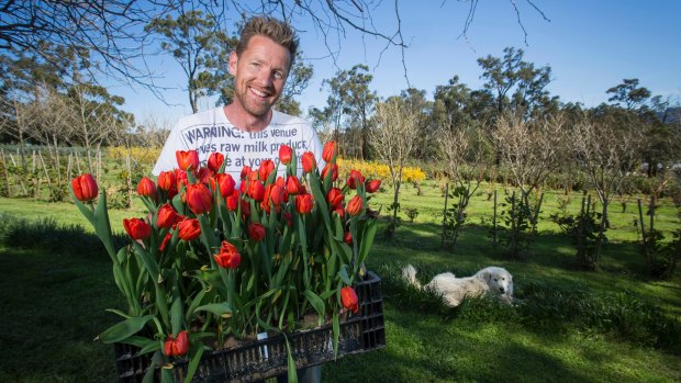 Joost Bakker with tulips, on his farm in Monbulk.

