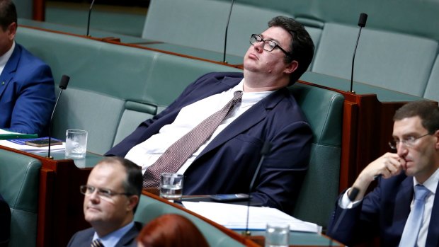 Government MP George Christensen during question time on Monday.