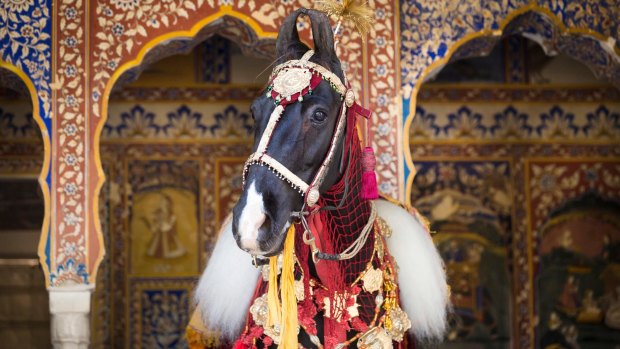 A horseback safari through the desert communities of Rajasthan gives intimate insight into India's feudal system.
