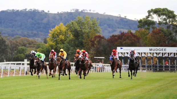 The Mudgee Cup ... a day at the country races is great fun.