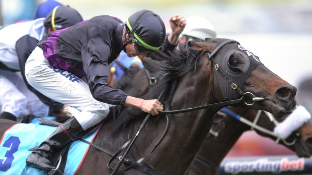 On the road to glory: Nash Rawiller guides Fiorente to victory in September last year before losing the ride on the champion later in the spring.