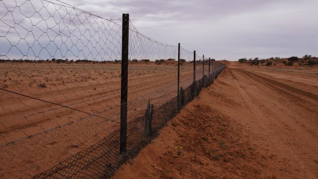 The epic 5614 kilometres-long dingo fence - the world's longest such barrier.