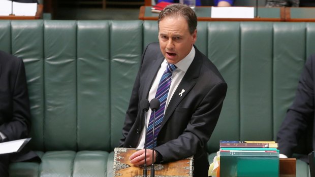 Environment Minister Greg Hunt during question time on Wednesday.