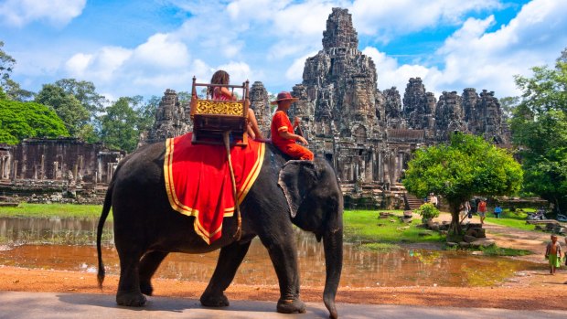 A petition to ban elephant rides at Angkor Wat has taken off since the death of Sambo.