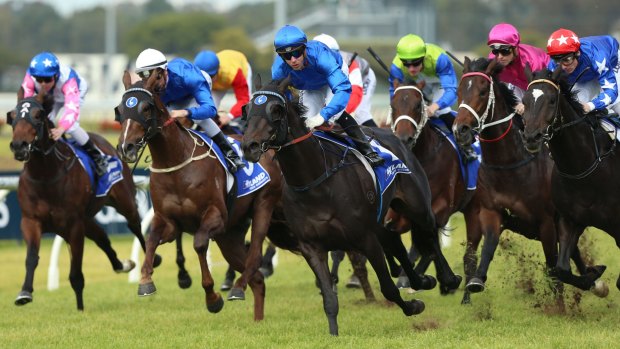 Light on target: Brenton Avdulla (blue silks and cap) is taking advantage of his light frame to get good rides with the top stables.