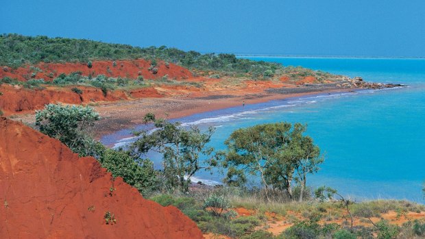 This region is subject to one of the world's largest tidal fluctuations – a phenomenon which carries with it a rich brew of nutrients and the superfluity of marine life subsisting on them.