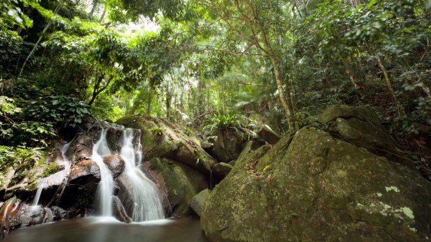 Waterfall in Tioman island jungle.