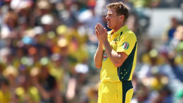 Leaking runs: James Faulkner looks on during the one-day international between Australia and India at the WACA.