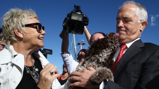 Malcolm Turnbull is licked by Brando the dog on the campaign trail on the NSW south coast on Monday.