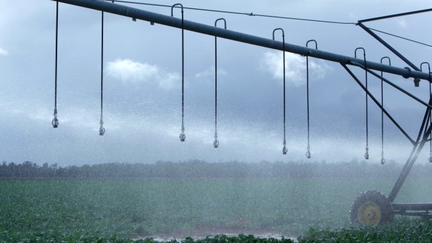 Irrigation rights can be valuable.