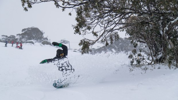 The predicted winter storm has hit Perisher with strong winds and 15cm of snow over the past 24 hours across our four resort areas of Perisher Valley, Blue Cow, Smiggin Holes and Guthega.  There is a lot of snow predicted through until the  end of the week with some forecasting 80cm or more in total. 22 June 2016. Photo supplied by Perisher Ski Resort