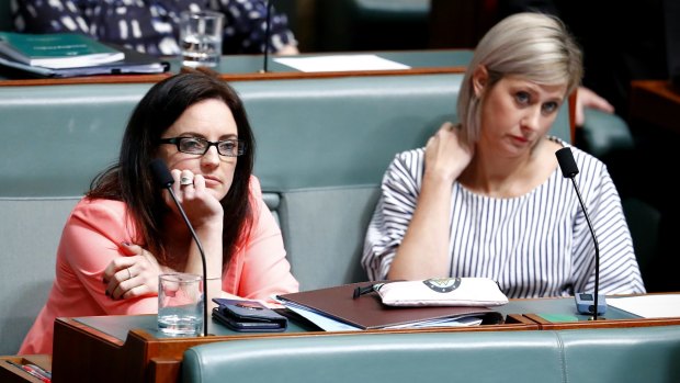 Labor MPs Emma Husar and Susan Lamb during question time on Monday.