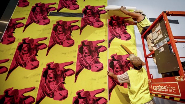 Andy Warhol's Cow Wallpaper being installed at the NGV.