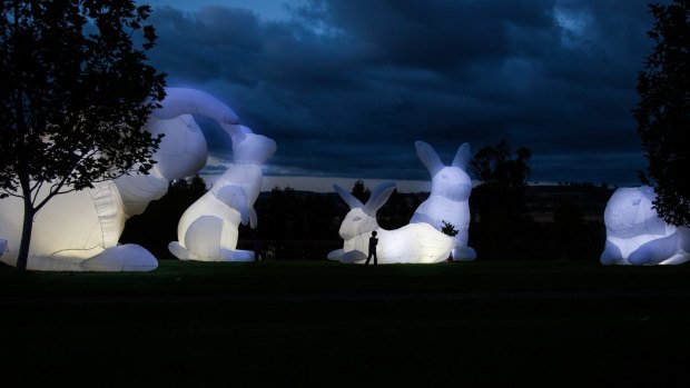 Parer Studio's major public art installation Intrude features giant inflatable bunnies.