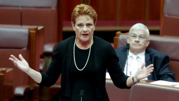 Pauline Hanson showed her enthusiasm for Russian leader Vladimir Putin and her disdain for Muslims and the "no jab, no pay" scheme on the ABC's <i>Insiders</i>. 