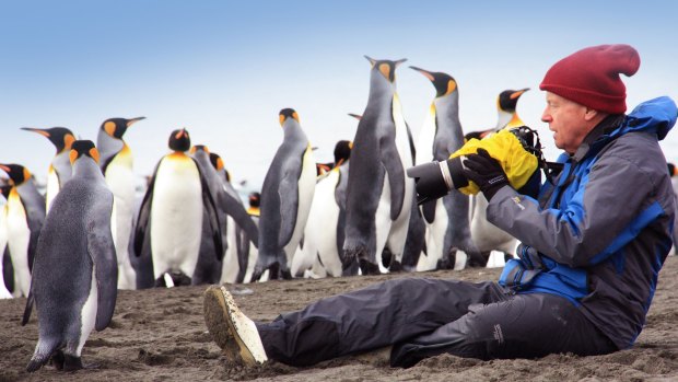 Photographing penguins in Antarctica with Aurora Expeditions.