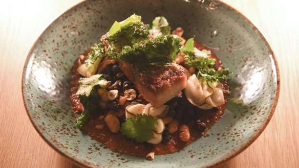 Pan-seared  barramundi with warm bean salsa, herby sauce and hazelnuts.