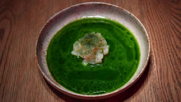 Cured scallops swimming in green juice.