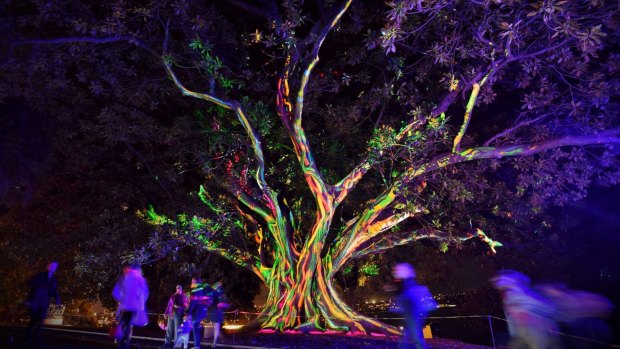 The Vivid Sydney Light Walk in the Royal Botanic Gardens.