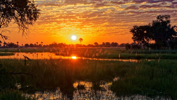Sunset in the wildlife-rich Okavango Delta, Botswana.
