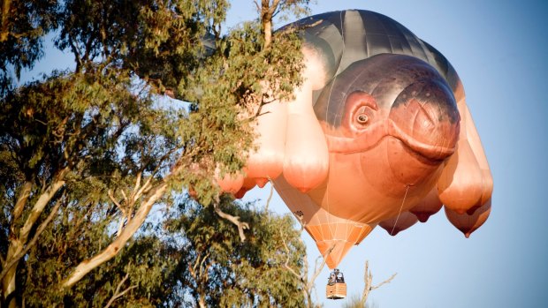 Some people may well still abhor Skywhale, but many others have come to love her, both in Canberra and around the world.