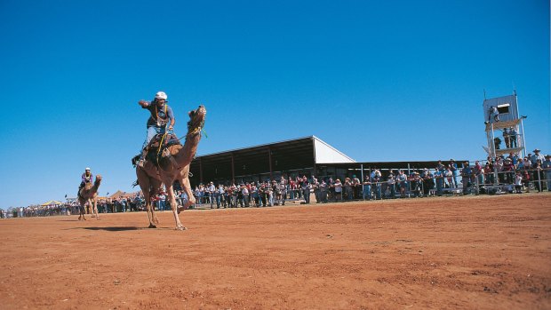 The Boulia Camel races are an annual event.