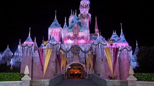 Disneyland Resort is a great holiday option for families.