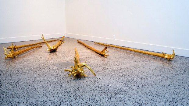 Jonathan Jones' <i>They Made a Solitude and Called It Peace</i> exhibit references the gold rush period.