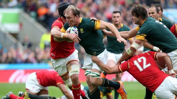 The Brumbies are wary of the threat Springboks champion Schalk Burger will pose.