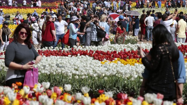 Huge crowds at the 2015 Floriade.