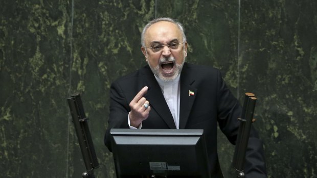 The head of Iran's Atomic Energy Organisation, Ali Akbar Salehi, speaks in an open session of parliament in Tehran during debate about Iran's nuclear deal with world powers.