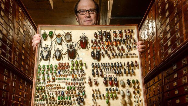Melbourne University's Andrew Hamilton is co-author of a paper which has published findings on the number of species on the planet, particularly beetles.