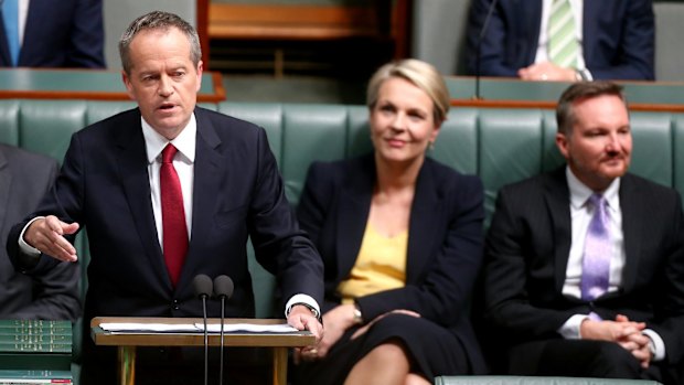 Opposition Leader Bill Shorten delivers his budget reply speech earlier this month.