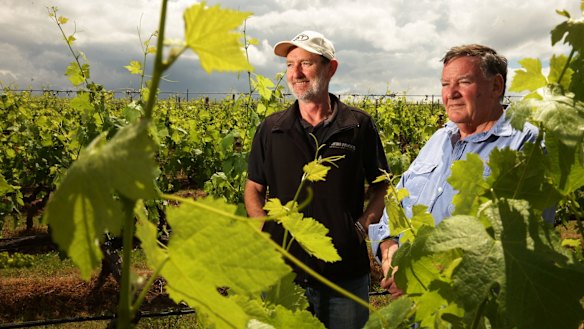 Do global clouds loom for international trade? Brokenwood Wines winemaker Iain Riggs and viticulturist Kieth Barry in the vineyard. Australian wine exports to China leapt 50 per cent this year.