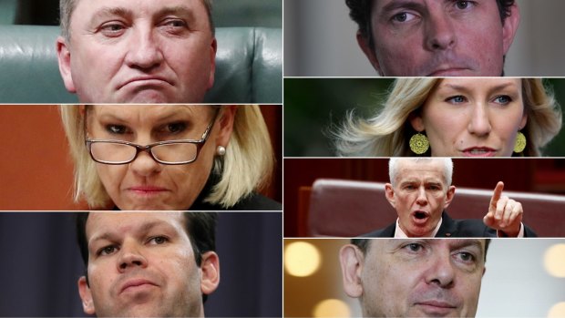 The High Court will consider the eligilbility under Section 44 of the Constitution for politicians (anti-clockwise from top left) Barnaby Joyce, Fiona Nash, Matt Canavan, Nick Xenophon, Malcolm Roberts, Larissa Waters and Scott Ludlam. Montage created 9 October 2017.